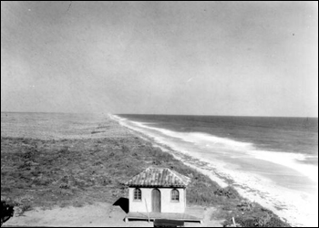 Looking north from the casino: Canova Beach, Brevard County, Florida (1929)