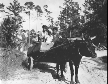 African-American children in ox cart at the Cherry Lake Rural Rehabilitation Project: Cherry Lake, Florida (1935)