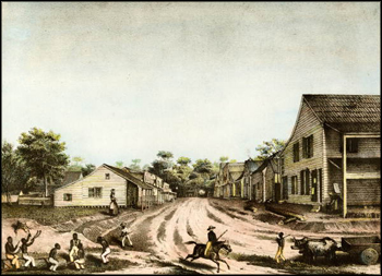 Lithograph of a residential street scene: Tallahassee, Florida (1839)