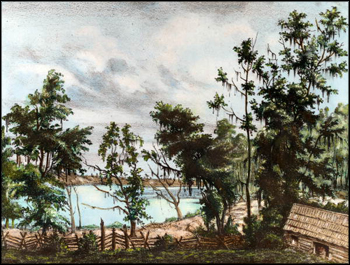 Lithograph of a plantation on Lake Lafayette: Leon County Florida (1839)