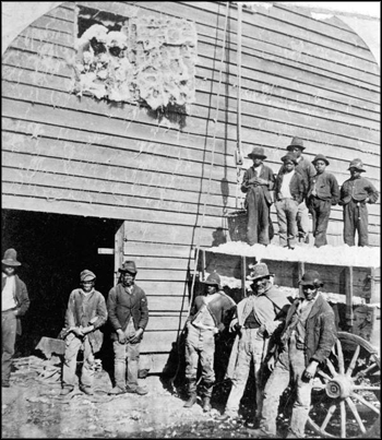 Laborers waiting for a team to arrive at a cotton gin: northern Florida (early 20th century)