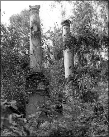 Ruins of the Verdura Plantation: Leon County, Florida (20th century)