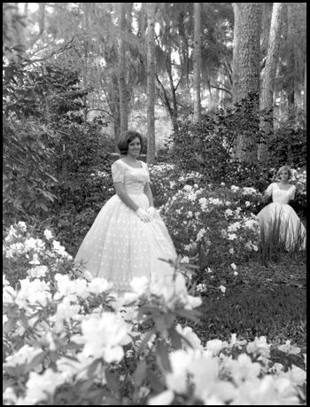 Young women pose for a photograph at Maclay Gardens State Park: Tallahassee, Florida (1968)