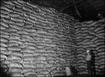 Cattle feed piled up in Kuder Citrus Feed Company's warehouse : Lake Alfred, Florida (1946)