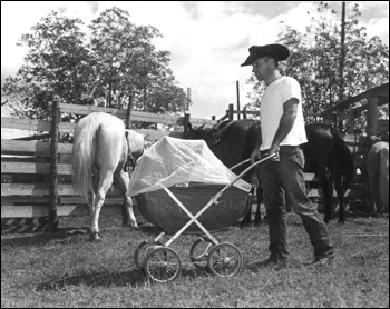 Cowboy pushes a baby carriage through the corral: Bonifay, Florida (1949)