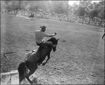 Cowboy on Bucking Horse: Bonifay, Florida (1950)