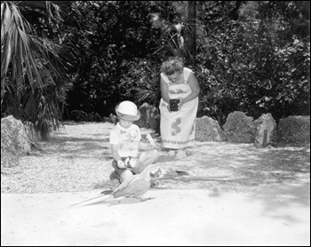 Child feeding parrots at Parrot Jungle: Miami, Florida (1955)