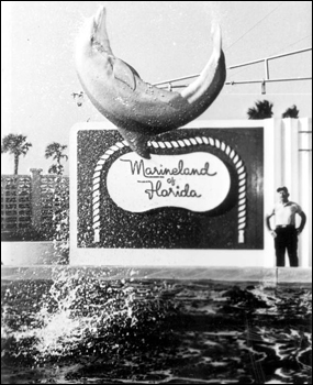 Dolphin in mid-air at Marineland of Florida: Marineland, Florida (19--)