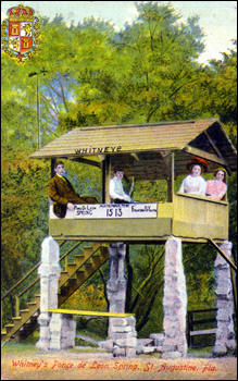 Whitney's Ponce de Leon Spring: Saint Augustine, Florida (postmarked 1917)