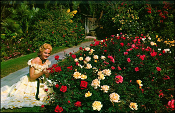 Southern Belle stops to smell the roses: Winter Haven, Florida (19--)