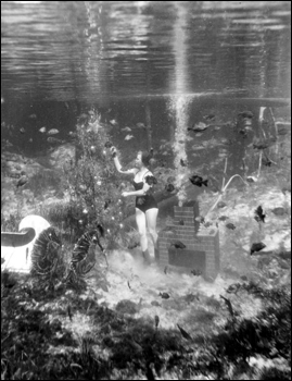 Underwater Christmas at Rainbow Springs: Rainbow Springs, Florida (1953)