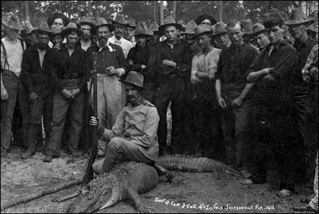 Alligator shot by the captain of 4th Illinois Volunteers: Jacksonville, Florida (1898)