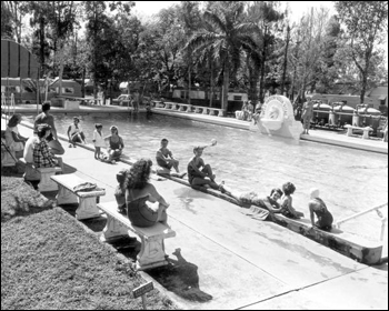 Residents at the pool at the Belle Haven Trailer Park: Miami, Florida (1953)