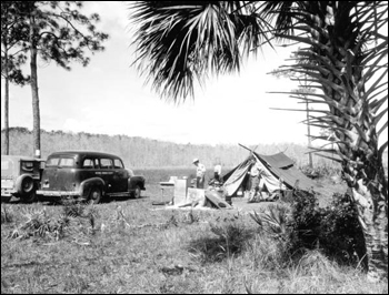 Campers in Corkscrew Swamp: Collier County, Florida (19--)