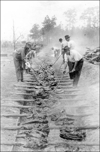 Cooking barbecue at a Tin Can Tourists convention: Arcadia, Florida (192-)