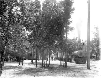 Florida Railway and Navigation Company engine #15 at the Lanark Hotel (ca. 1885)