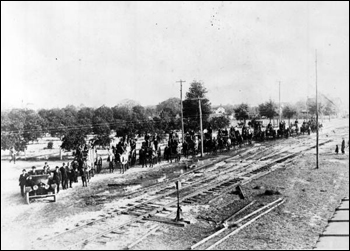Fifteen wagonloads of oranges: Umatilla, Florida (191_)