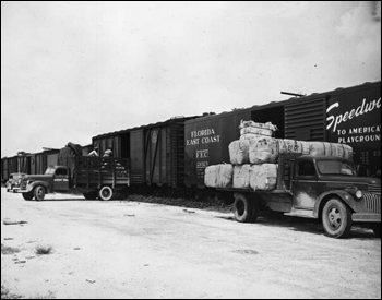 Produce being loaded into refrigerated cars (195_)