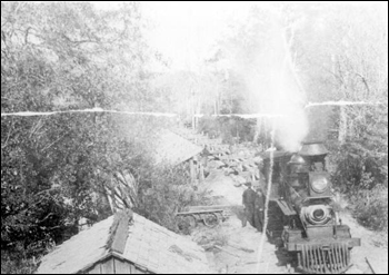 Pensacola and Andalusia Railroad Company train unloading logs into Escambia River (189_)