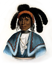 Chief Micanopy