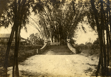 Bamboo Landing on the Estero River, the formal entrance to the Koreshan settlement in Estero, ca. 1900 