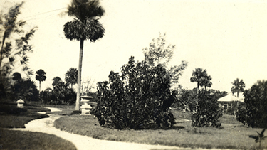 Postcard of Koreshan garden walkway, ca. 1910