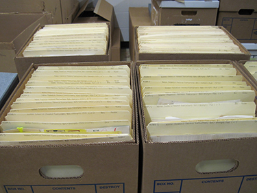 Boxes after processing