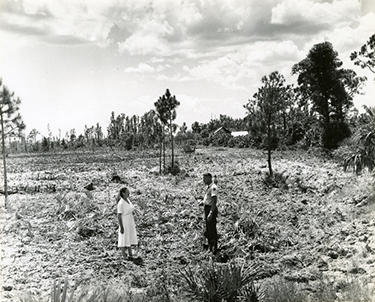 Michel and park ranger clearing land for Koreshan State Historic Site entrance, ca. 1961-1967s