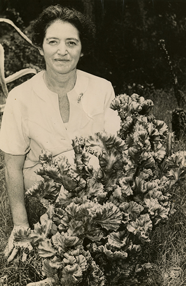 Hedwig Michel in the Koreshan garden (ca. 1960)
