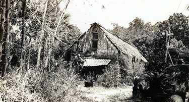 Early Koreshan log and thatch house, built ca. 1894