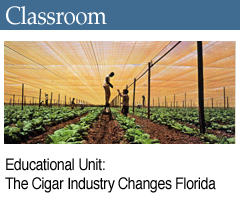 Related Education Unit: The Cigar Industry Changes Florida