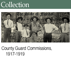 County Guard Commissions, 1917-1919