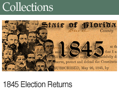 Related Collection: 1845 Election Returns