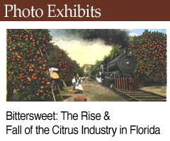 Photo Exhibit: Florida Cigars: Bittersweet: The Rise and Fall of the Citrus Industry in Florida