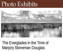 Photo Exhibit: The Everglades in the Time of Marjory Stoneman Douglas