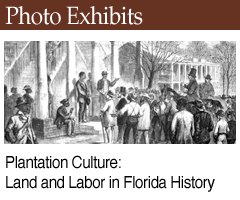 Photo Exhibit: Plantation Culture: Land and Labor in Florida History