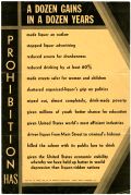 Flyer on Prohibition Titled 