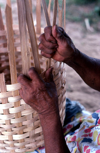 Lucreaty Clark weaving a white oak basket (not after 1979)