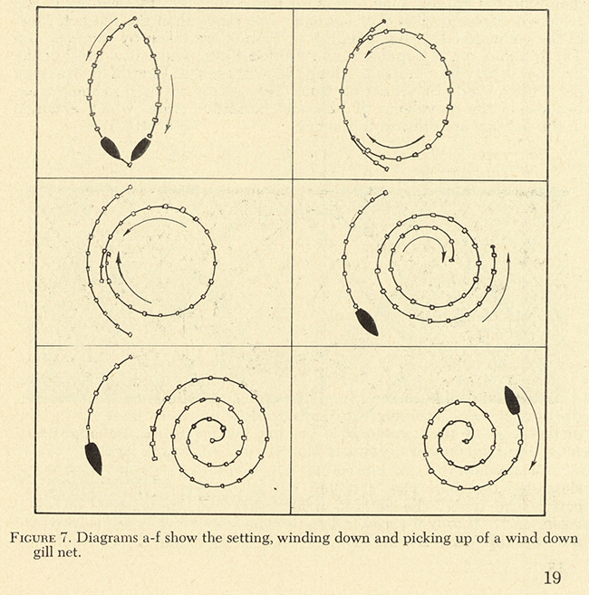 FIGURE 7. Diagrams a-f show the setting, winding down and picking up of a wind down gill net.