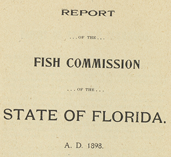 Report of the Fish Commission of the State of Florida, 1898