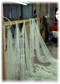 Shrimp nets - Jacksonville, Florida