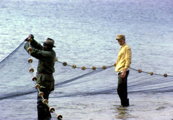 Mullet fishermen: Shell Point, Florida (1965)