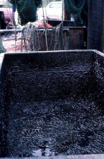 Tar vat used by Billy Burbank III for making nets: Fernandina Beach, Florida  (not after 1980)