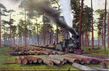 Logging train pulling out for the coast: near Pensacola, Florida (19--)