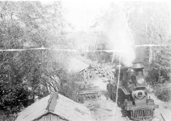 Pensacola and Andalusia Railroad Company train unloading logs into Escambia River (189-)