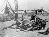 9th United States Cavalry training horses for Spanish-American War