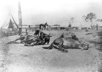 9th United States Calvary training horses for Spanish-American War (1898)