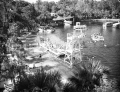 Bird's eye view overlooking Silver Springs.