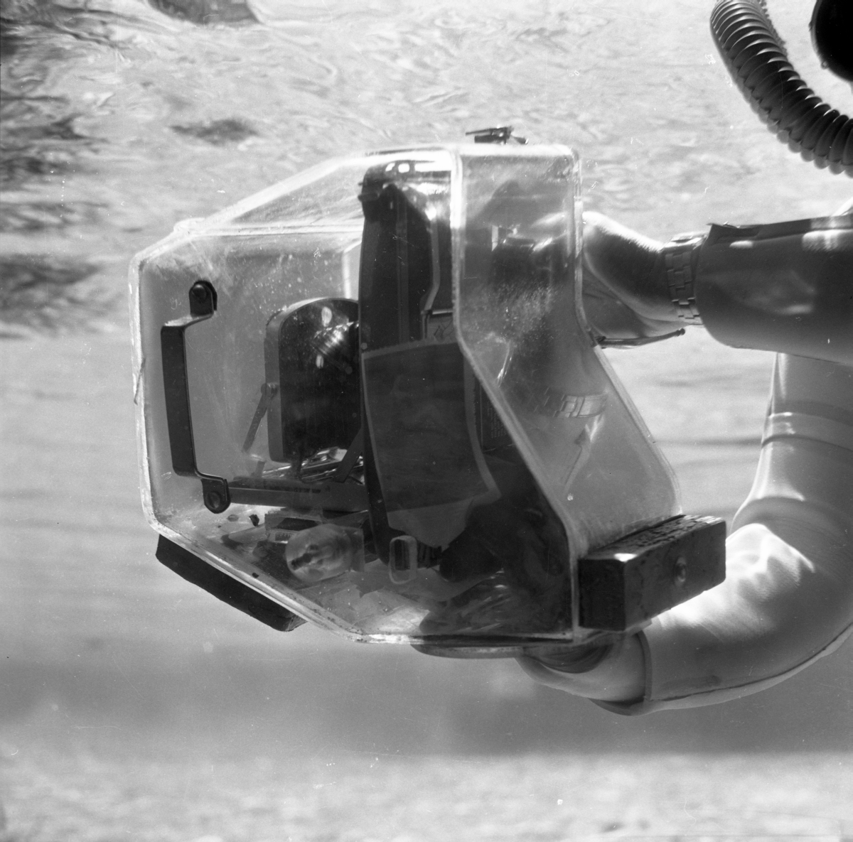 Underwater camera and housing with Polaroid photograph at Silver Springs, ca. 1950