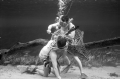 Ricou Browning being cut out of net by another diver as part of a safety demonstration at Silver Springs.